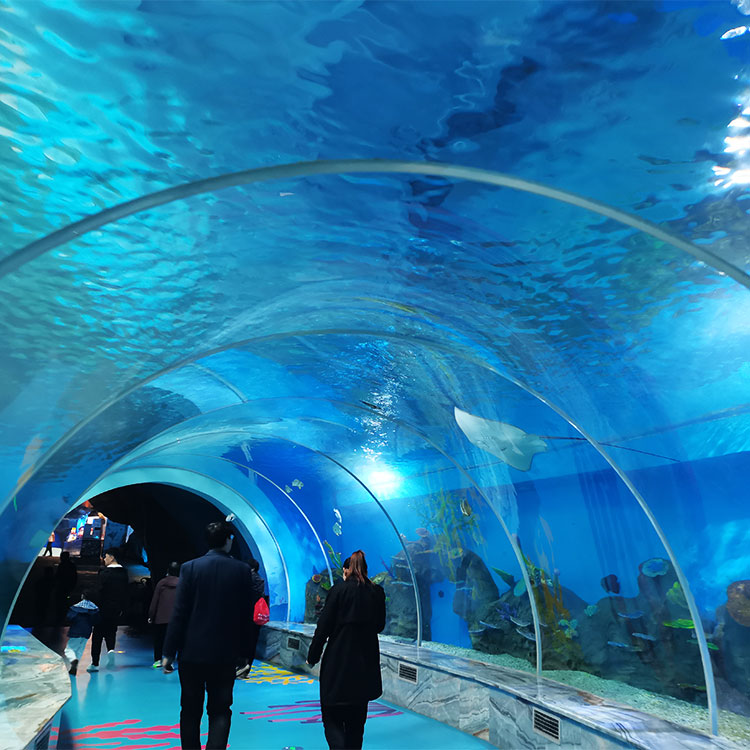 acuario de t&uacute;nel - fabricaci&oacute;n