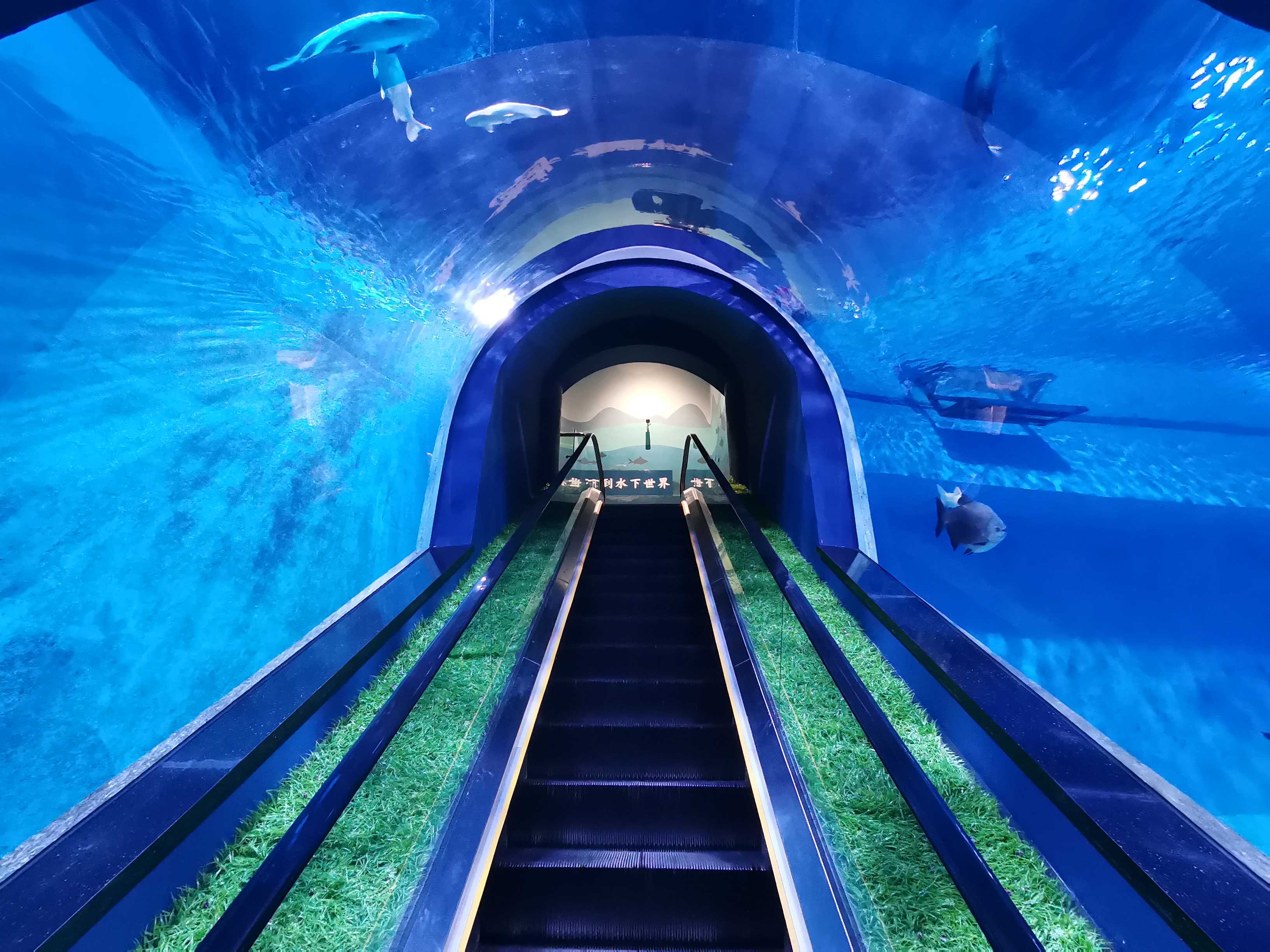 T&uacute;nel de acr&iacute;lico - Leyu