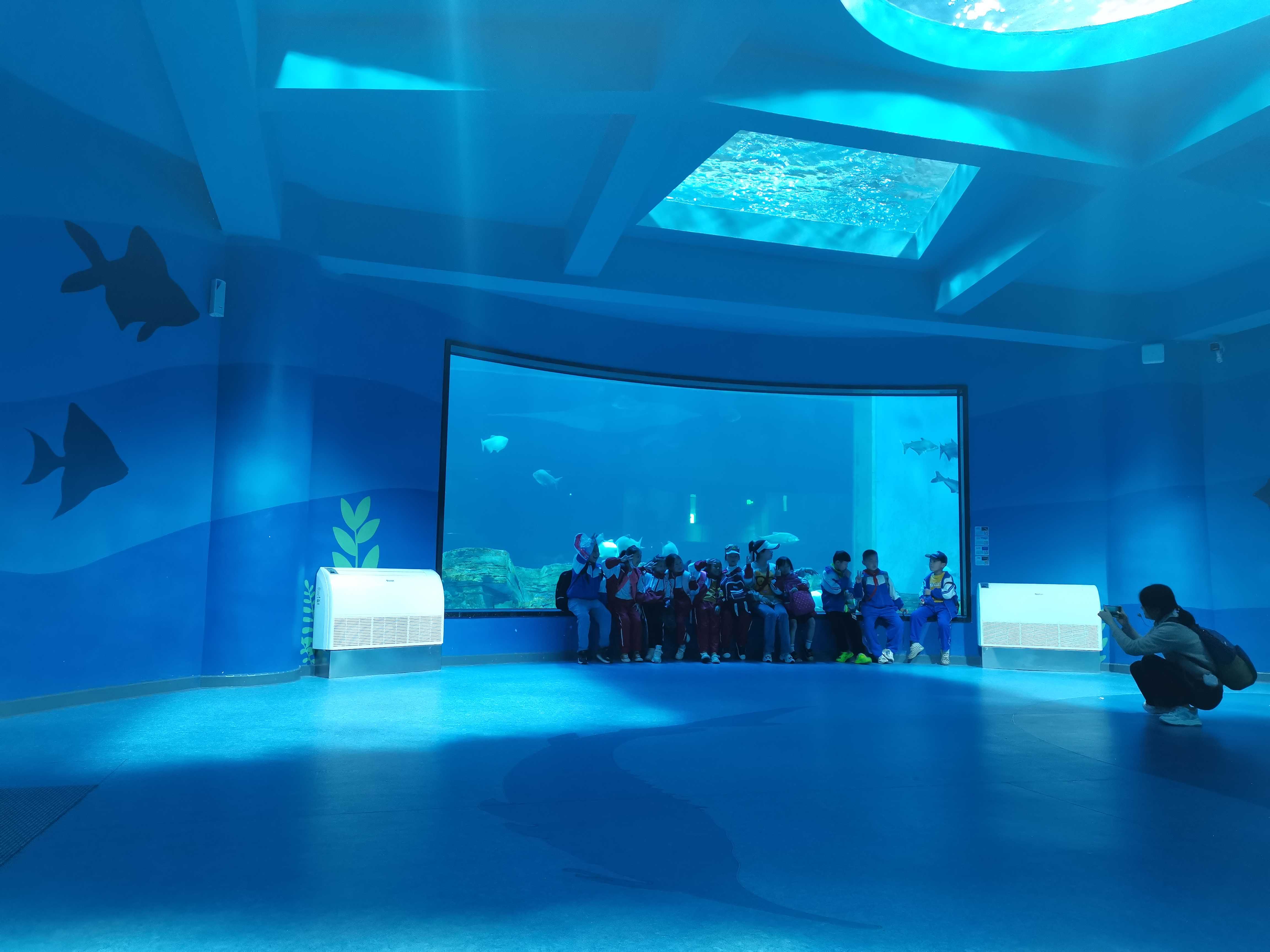 Posada Ocean Park - Leyu