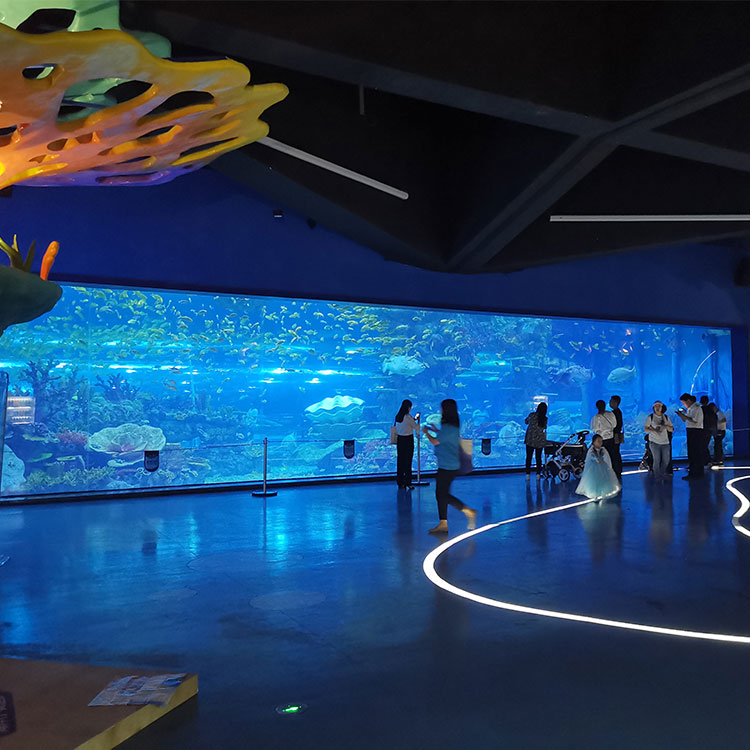 Oceanario de Leyu Lisboa explora el oceanario del mundo oce&aacute;nico