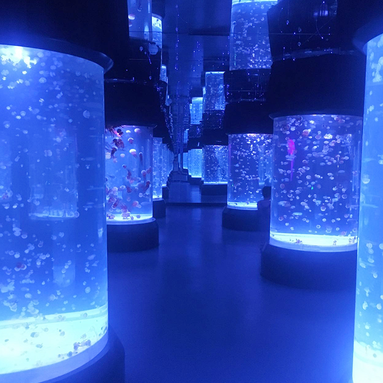 Jellyfish aquarium - Leyu Acuario de medusas - Leyu