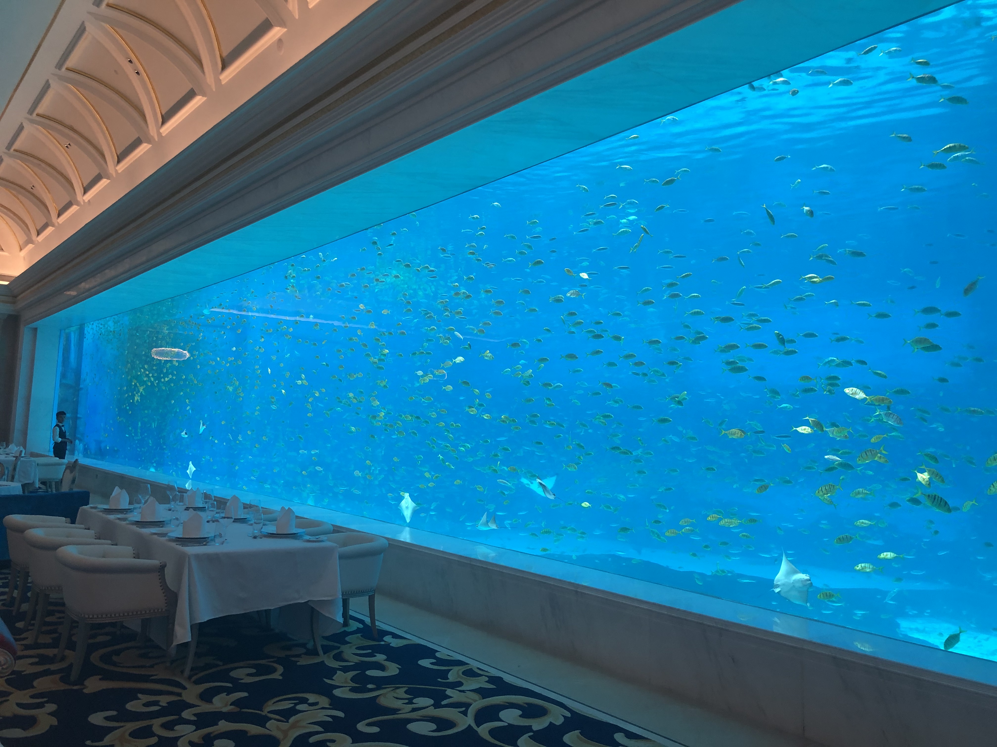 Ventana acr&iacute;lica para acuario - fabricaci&oacute;n