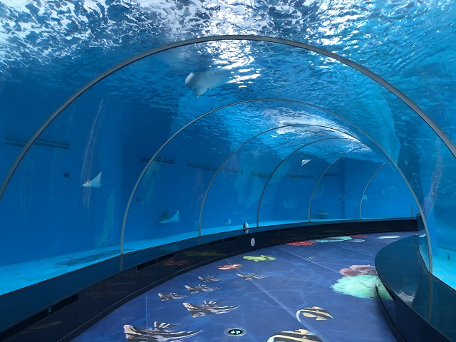 Acuario t&uacute;nel acr&iacute;lico - LEYU ACRYLIC
