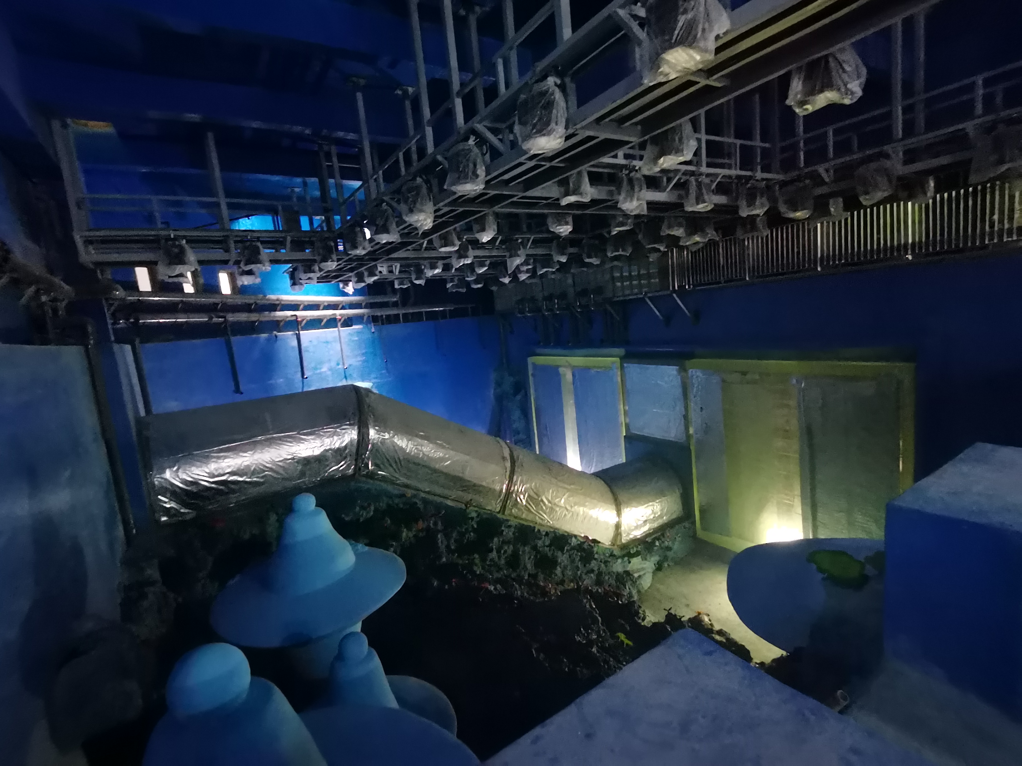 Acuario t&uacute;nel acr&iacute;lico - instalaci&oacute;n