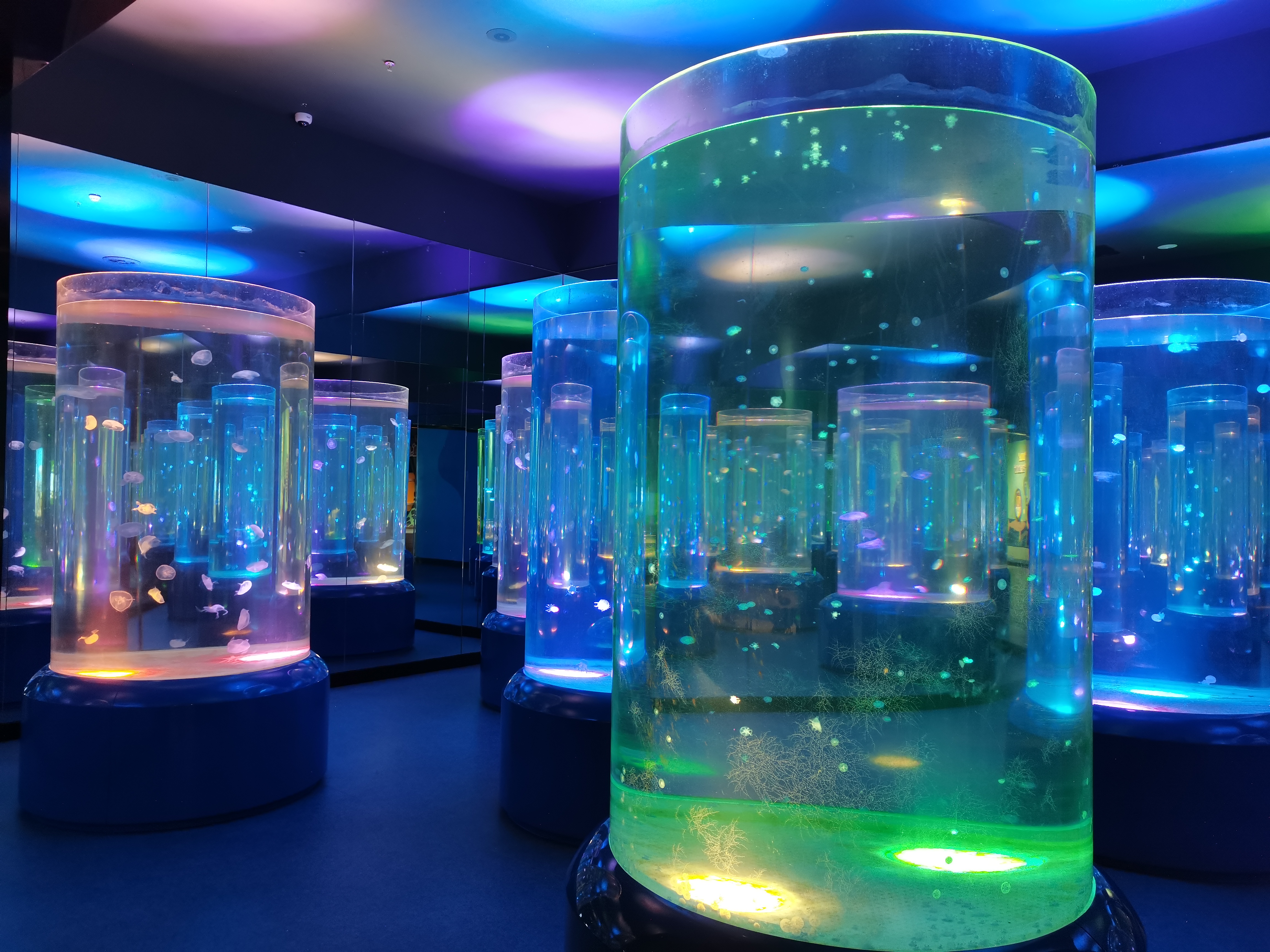 Acuario de medusas acr&iacute;lico - fabricaci&oacute;n