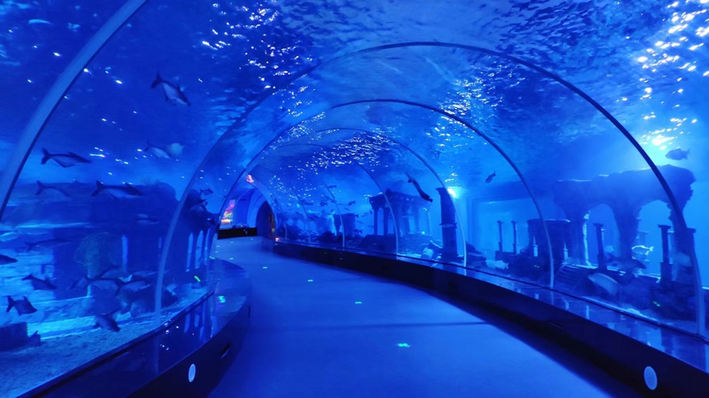 Mundo submarino de Fuzhou Yongtai - T&uacute;nel del acuario