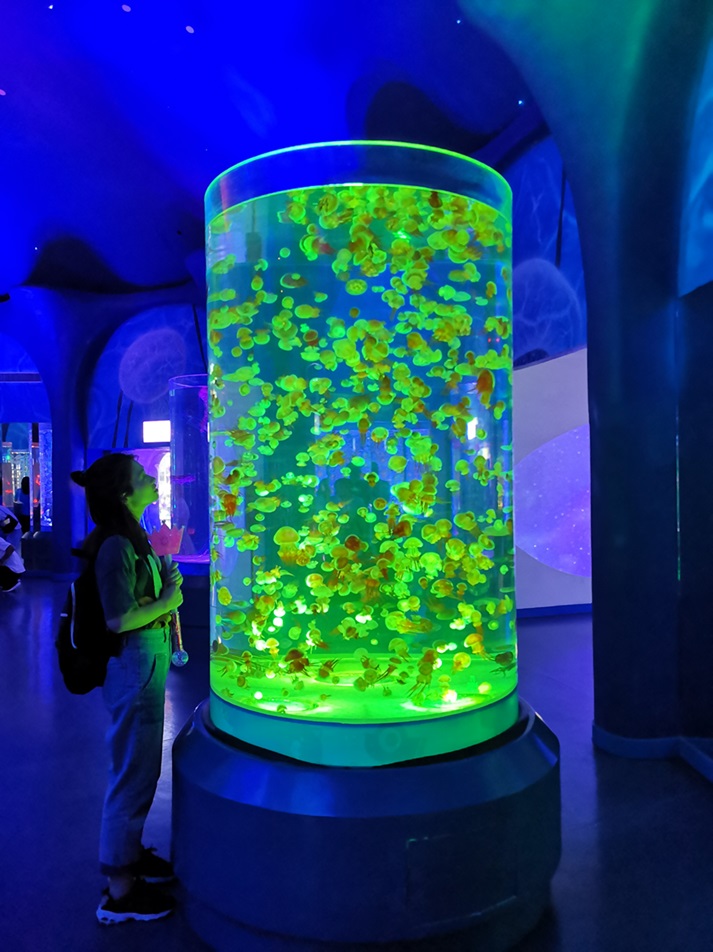 Parque Oce&aacute;nico Polar Haichang de Shanghai - Acuario de medusas acr&iacute;licas Leyu