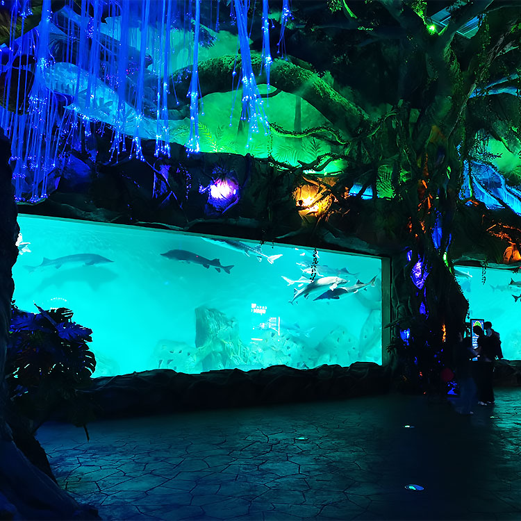 Xuzhou Oulebao Polar Ocean Park - Ventana Leyu Arylic Aquarim (2)