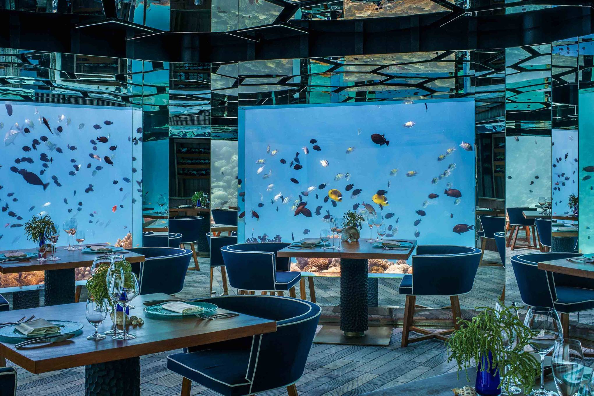 Panel acr&iacute;lico para ventana de acuario - LEYU