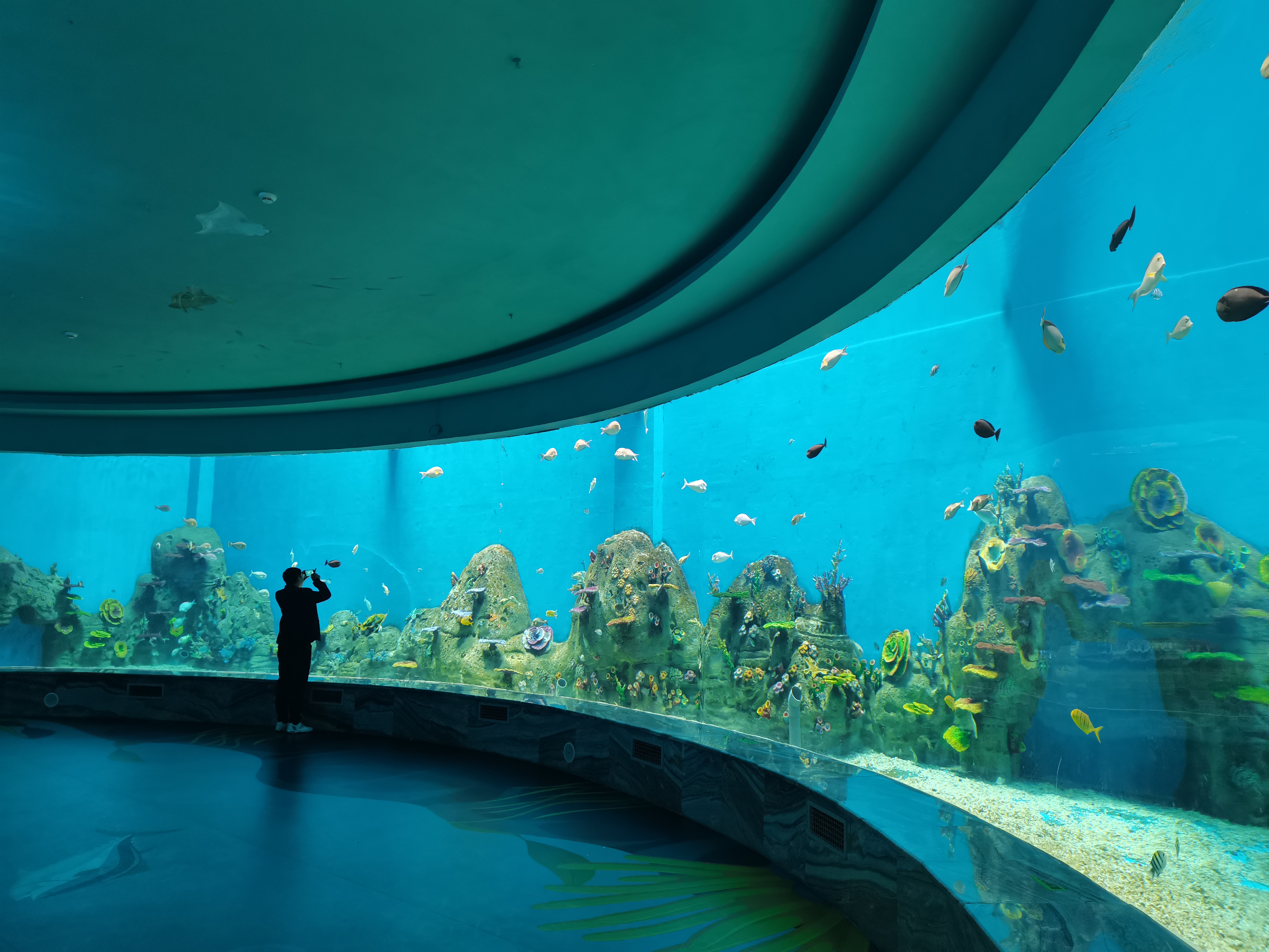 Ventana acr&iacute;lica para acuario - fabricaci&oacute;n
