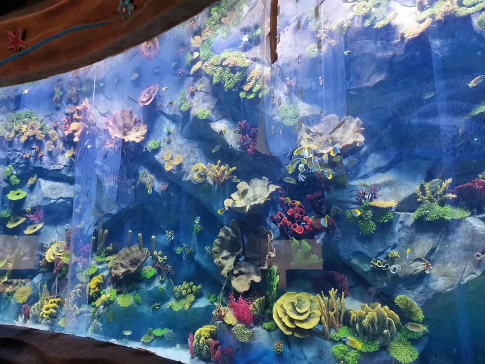 Ventana acr&iacute;lica para acuario - fabricaci&oacute;n