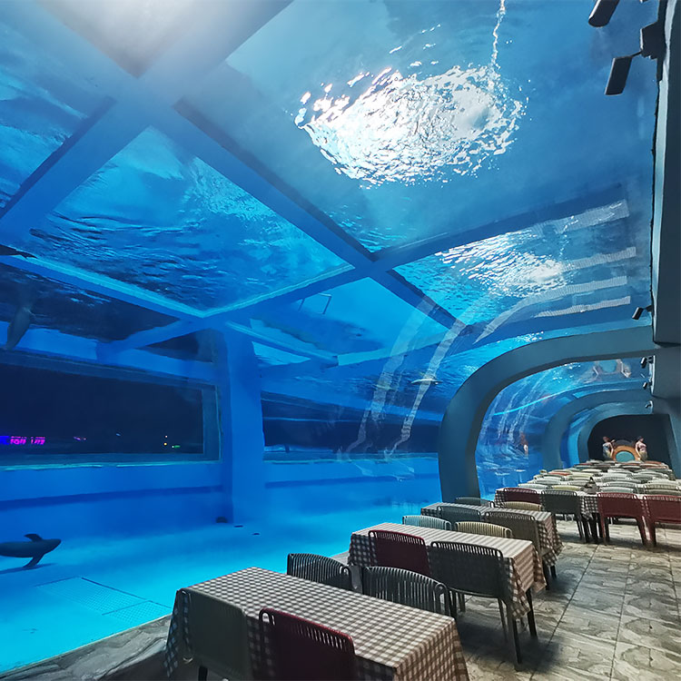 Acuario t&uacute;nel acr&iacute;lico - fabricaci&oacute;n