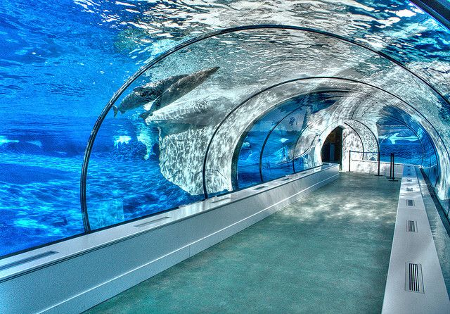 T&uacute;nel acr&iacute;lico - fabricaci&oacute;n
