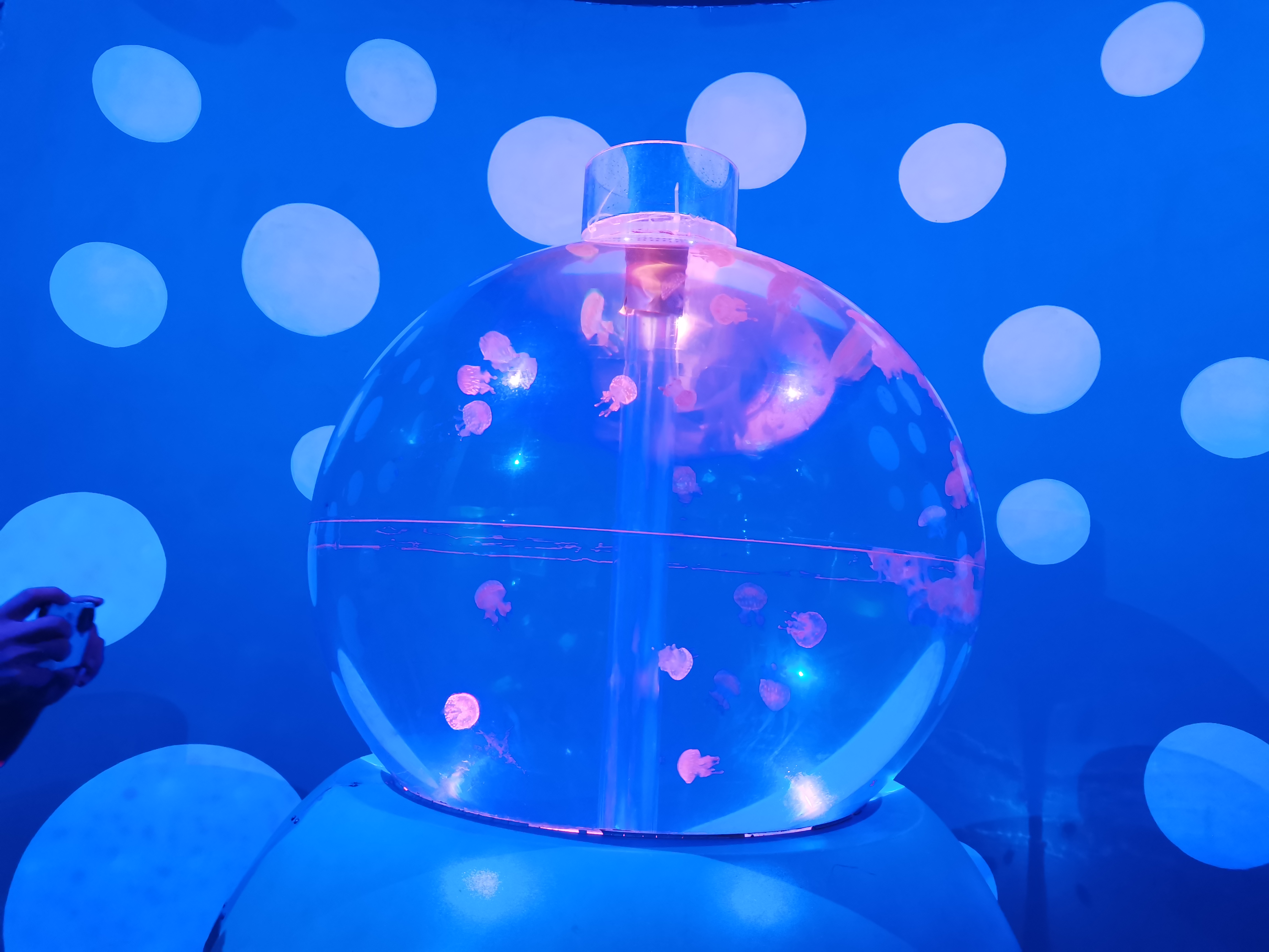 Acuario de medusas acr&iacute;lico - dise&ntilde;o