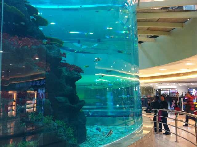 Acuario cil&iacute;ndrico acr&iacute;lico - INSTALACI&Oacute;N LEYU