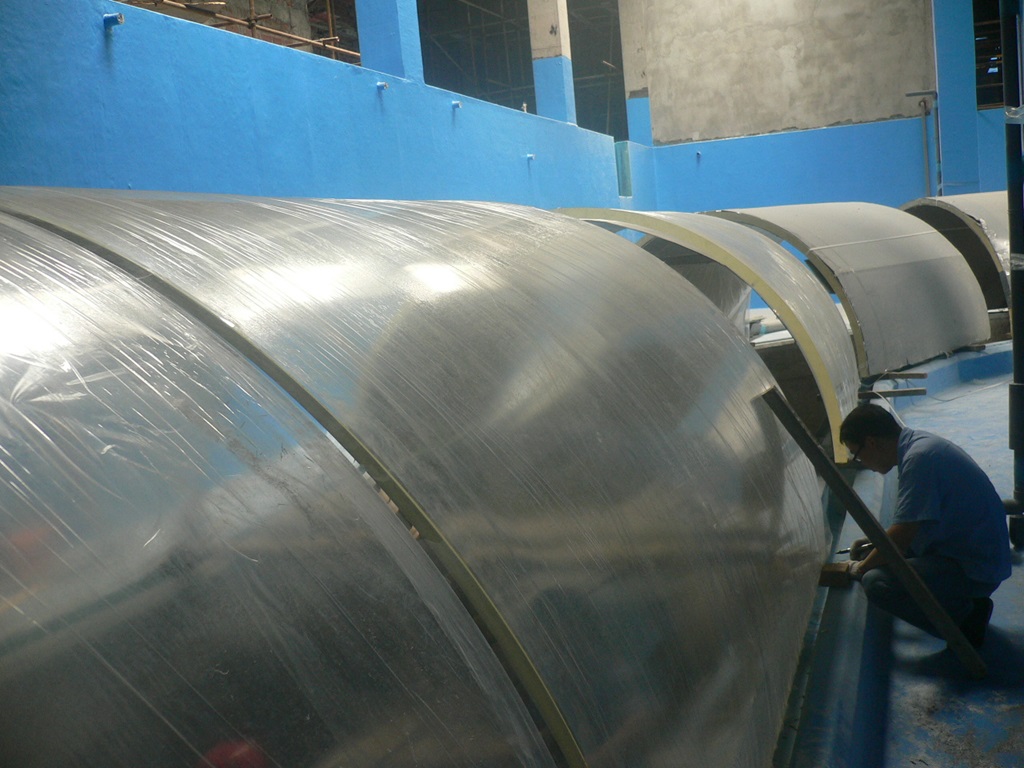 Hefei Hanhai Polar Ocean World - T&uacute;nel del acuario Leyu (10)
