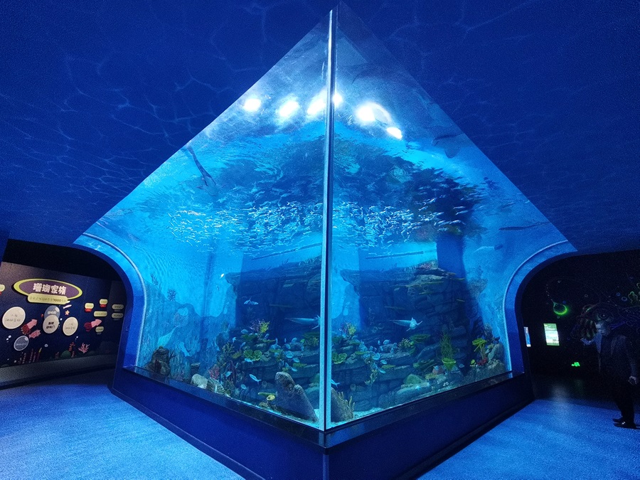 Ventana acr&iacute;lica del acuario Leyu - Longchuan Polar Ocean World en la provincia de Guizhou (2)