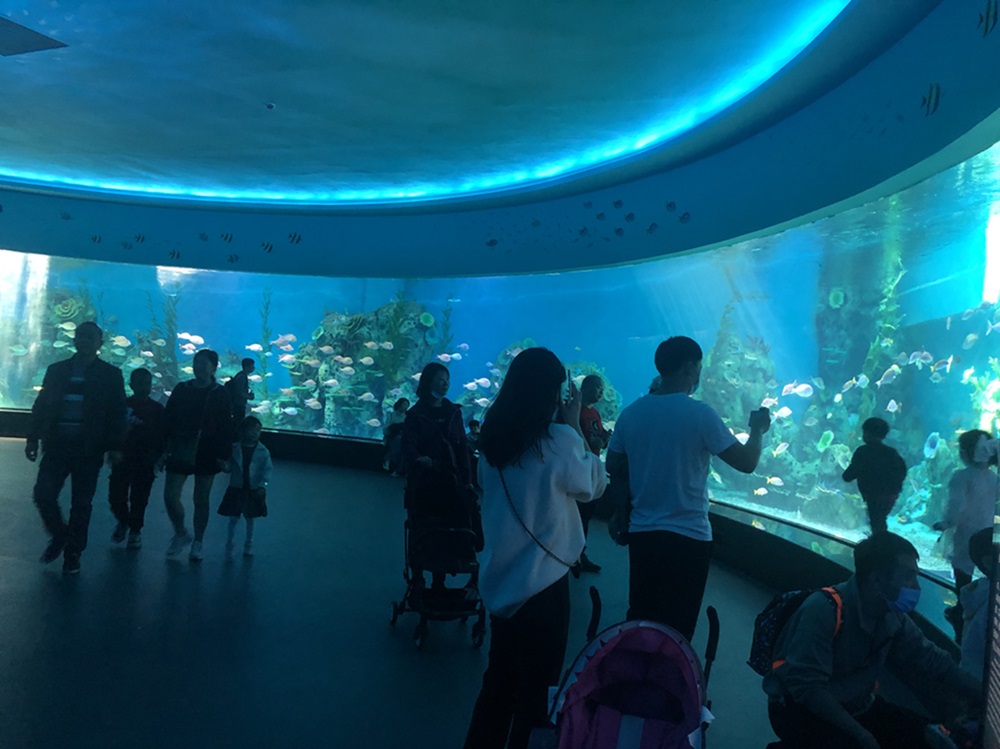 T&uacute;nel del acuario Fuzhou Yongtai