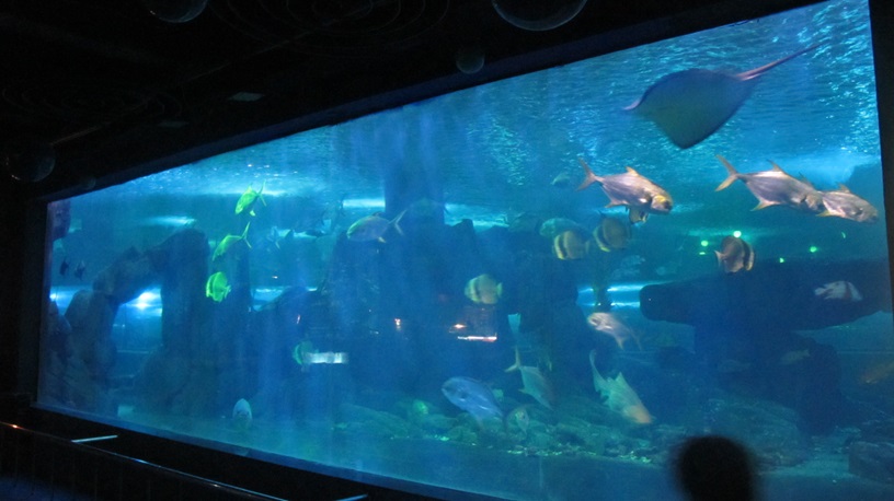 Mundo submarino de Shandong Penglai - Ventana acr&iacute;lica Leyu (5)