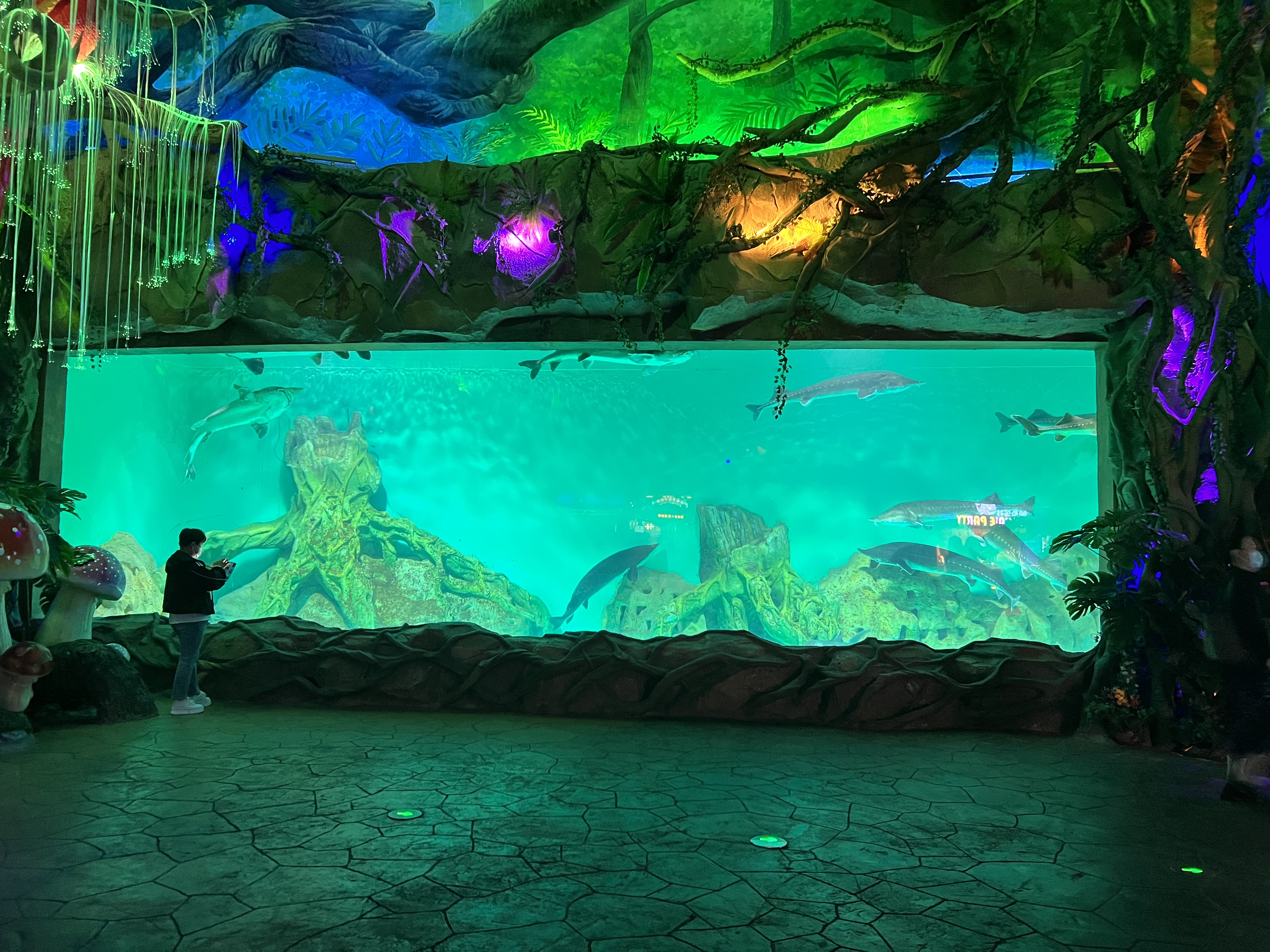 Piscina acr&iacute;lica para peces - LEYU