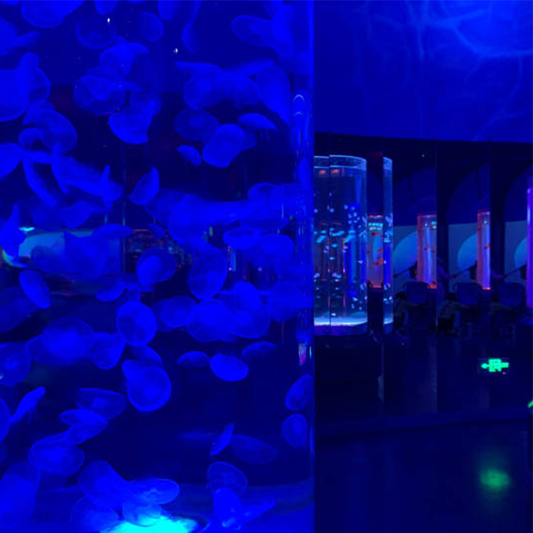 Acuario acr&iacute;lico de 100 gal. 