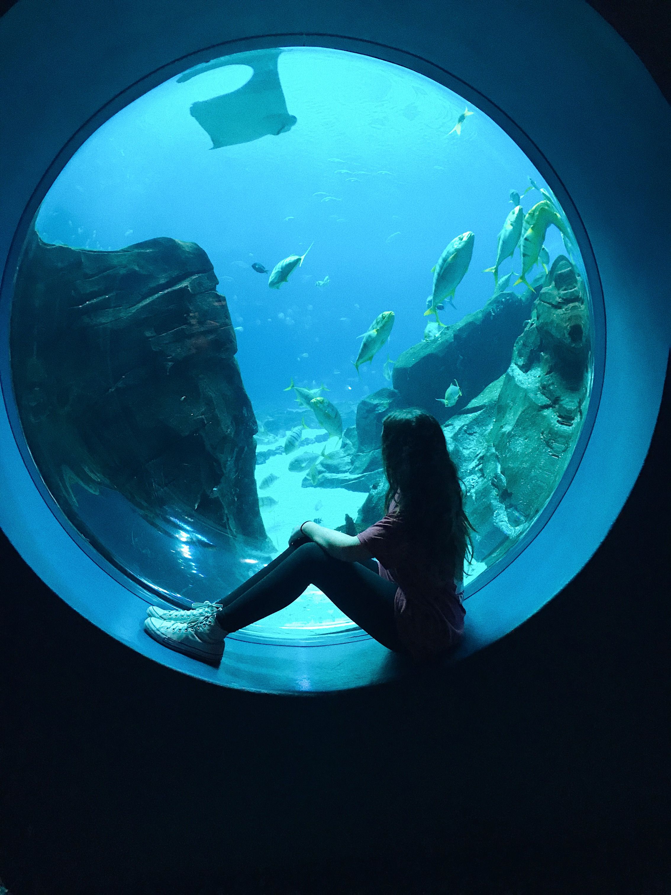 Panel acr&iacute;lico para ventana de acuario - LEYU