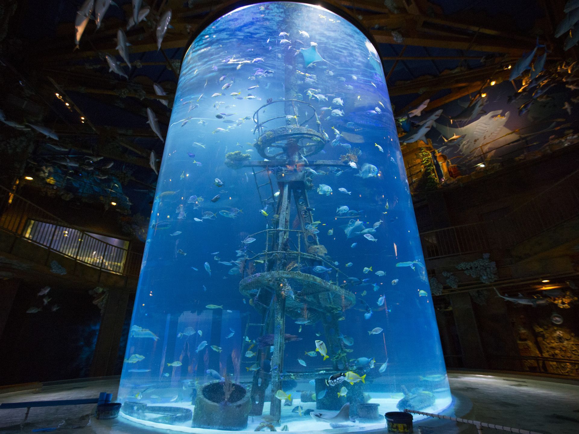 Acuario cil&iacute;ndrico acr&iacute;lico - INSTALACI&Oacute;N LEYU