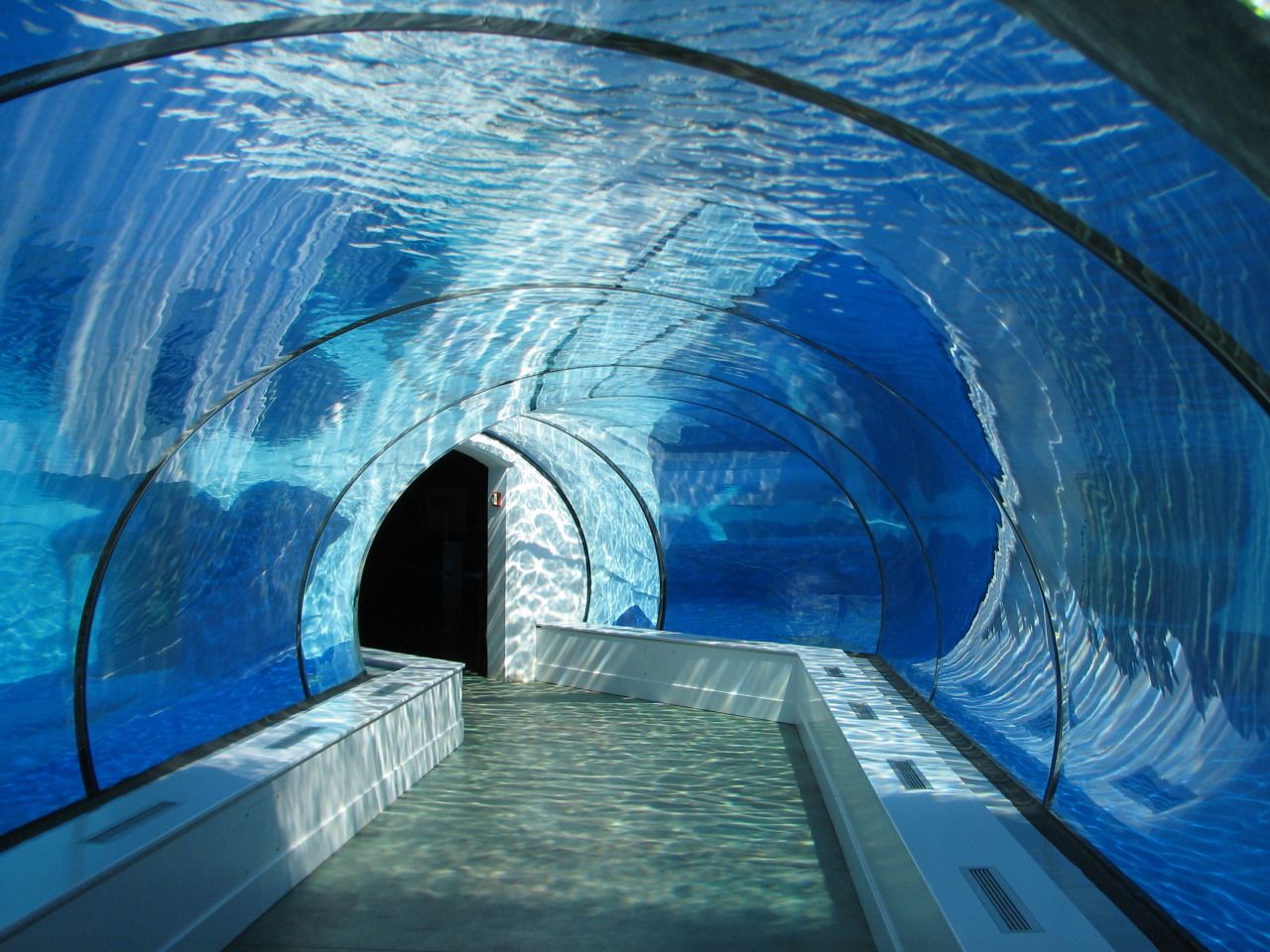 Acuario t&uacute;nel acr&iacute;lico - fabricaci&oacute;n
