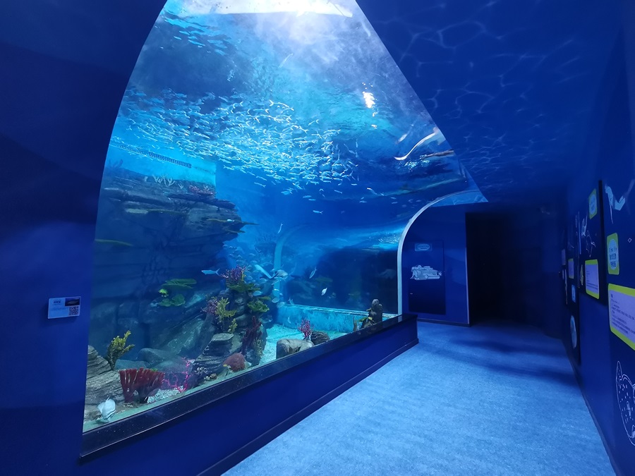 Ventana acr&iacute;lica del acuario Leyu - Longchuan Polar Ocean World en la provincia de Guizhou (3)