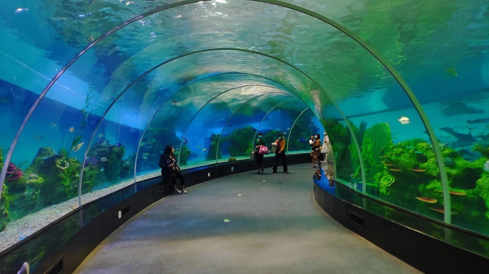 T&uacute;nel del acuario de Leyu