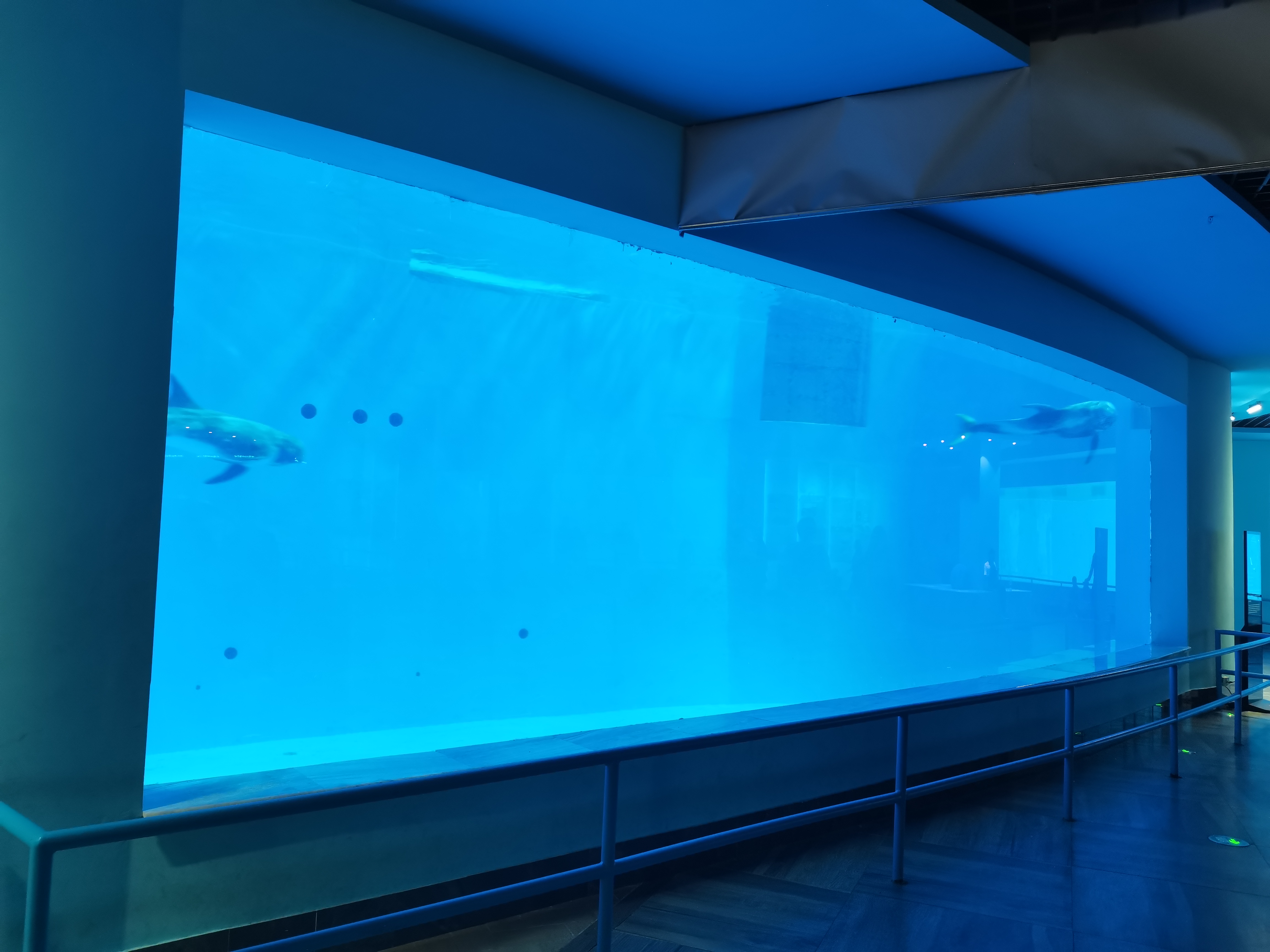 Ventana acr&iacute;lica para acuario - fabricaci&oacute;n