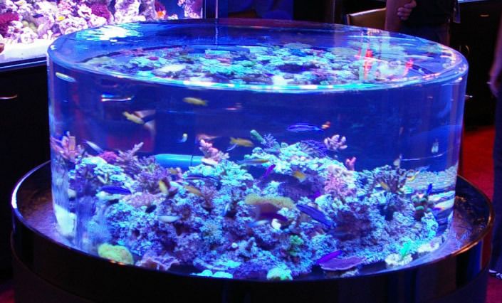 Acuario acr&iacute;lico transparente como el mar.