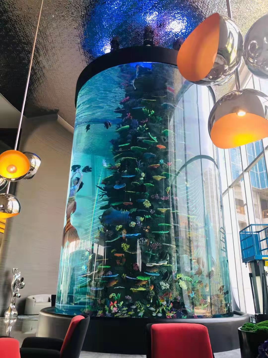Acuario cil&iacute;ndrico acr&iacute;lico - INSTALACI&Oacute;N LEYU