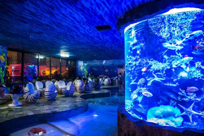 Acuario cil&iacute;ndrico acr&iacute;lico - instalaci&oacute;n
