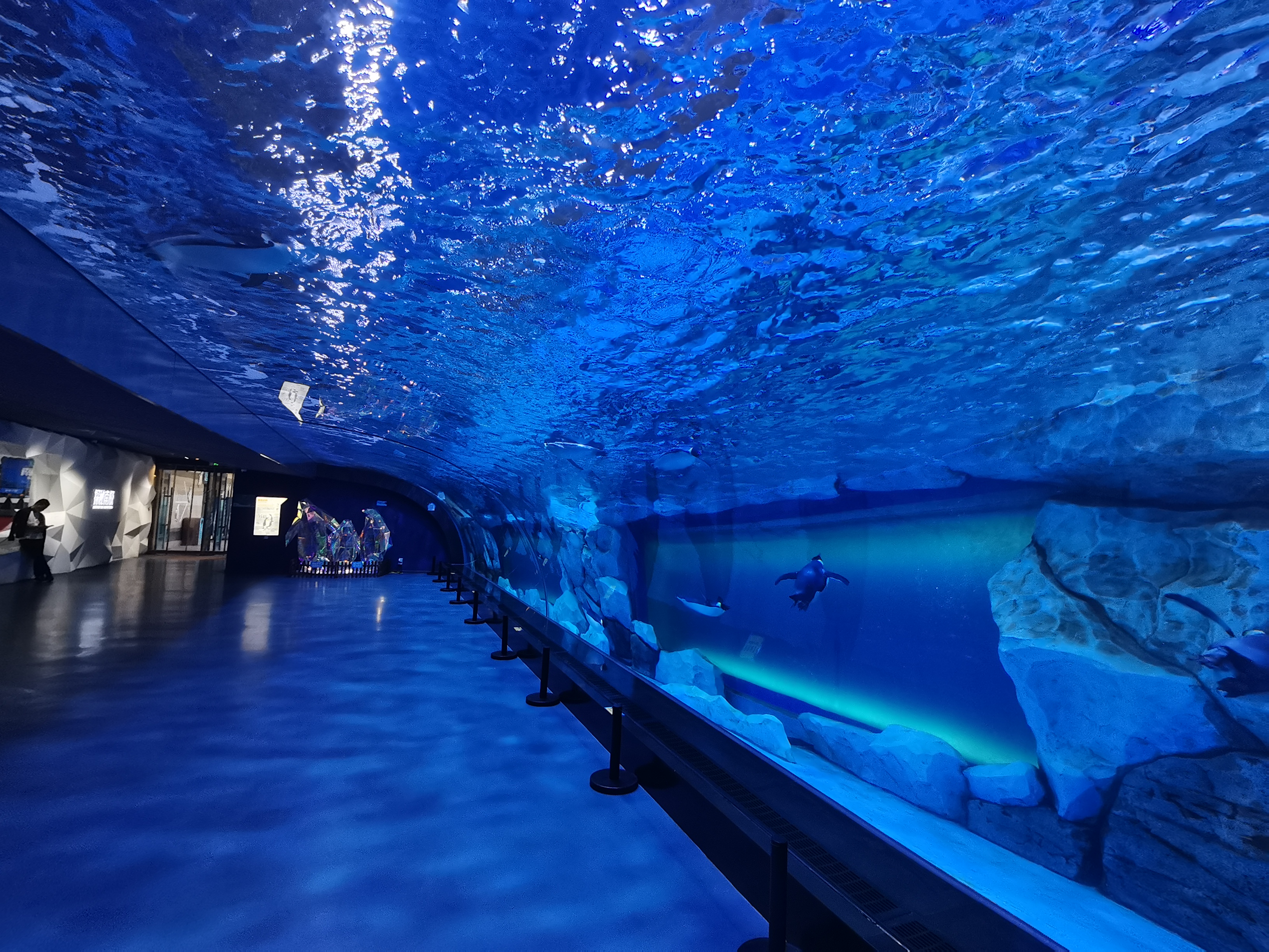 Panel curvo acr&iacute;lico - LEYU