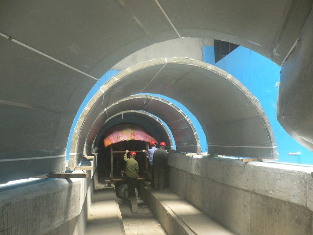 Hefei Hanhai Polar Ocean World - T&uacute;nel del acuario Leyu (5)