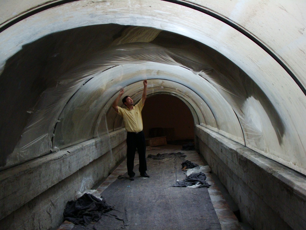 T&uacute;nel del acuario