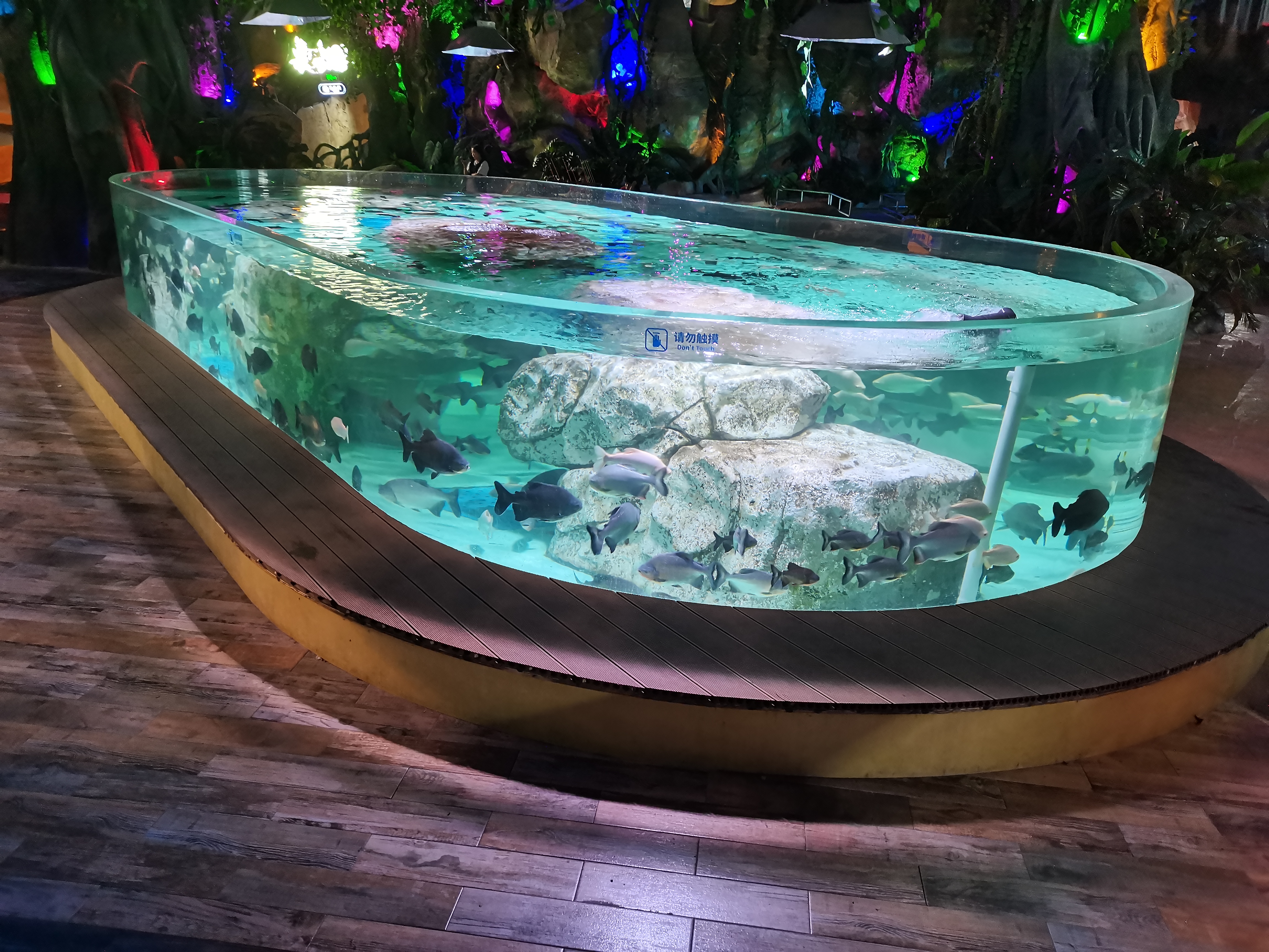 Panel acr&iacute;lico para ventana de acuario - LEYU