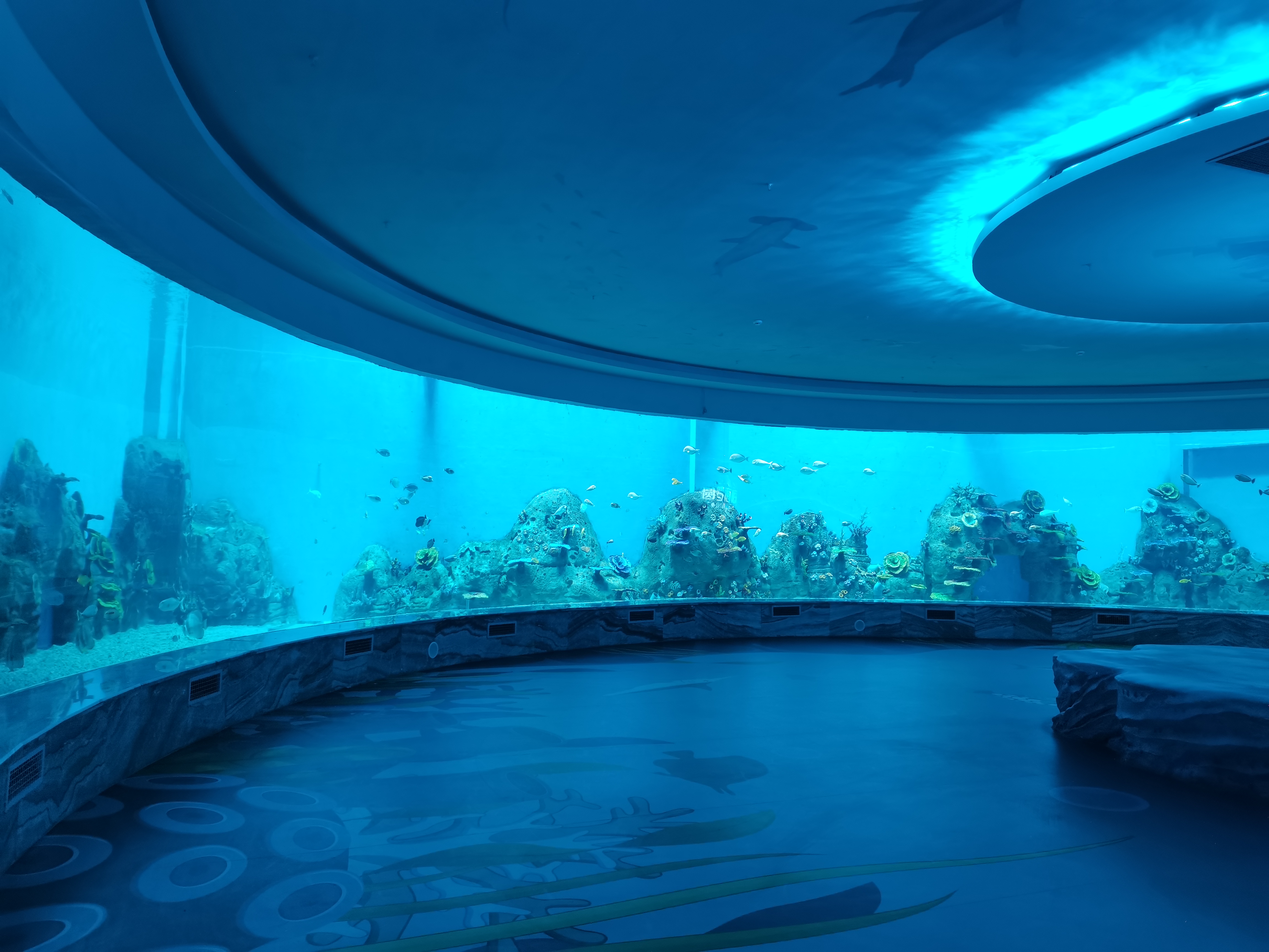 Ventana acr&iacute;lica para acuario - fabricaci&oacute;n