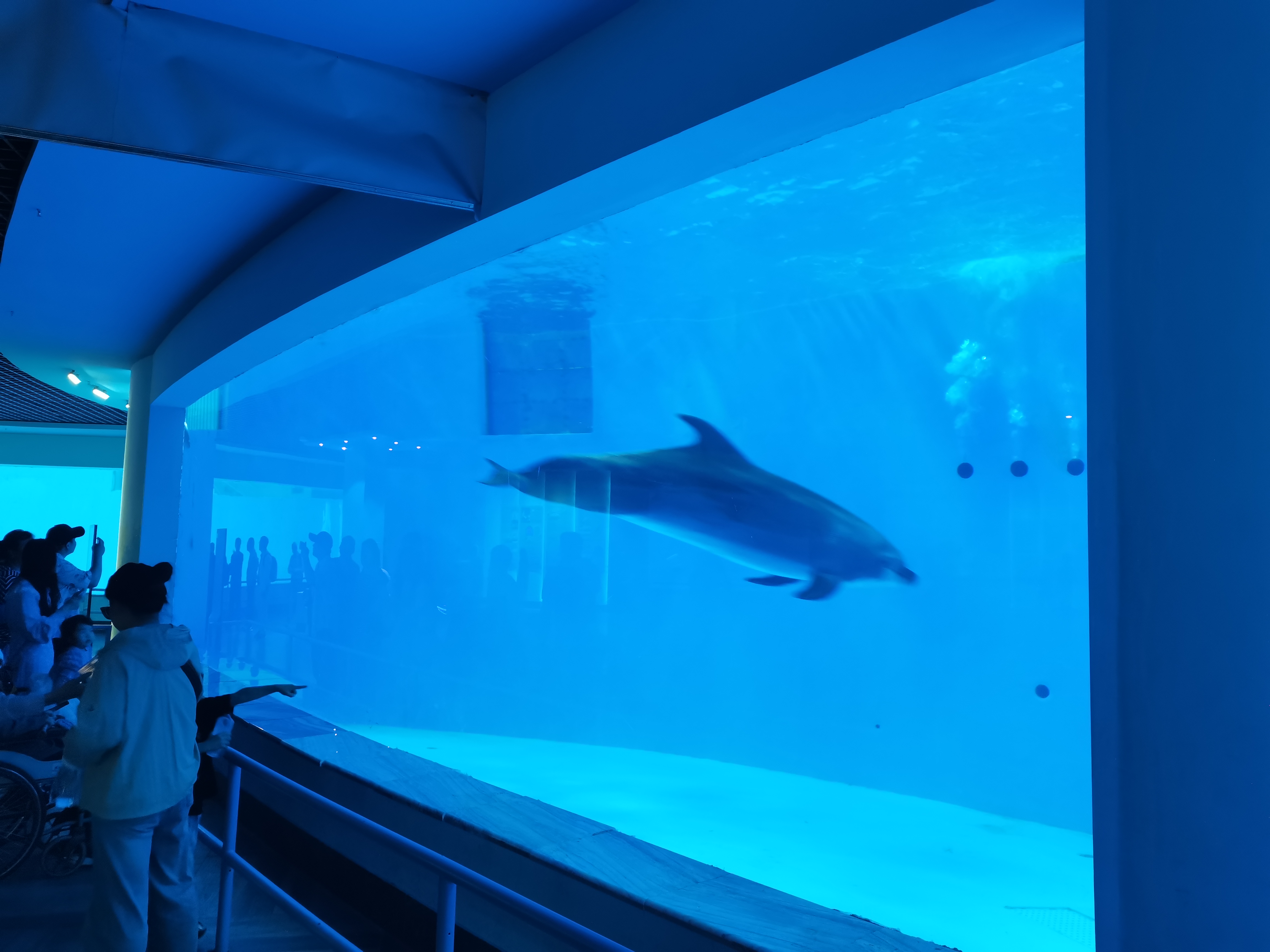 Ventana acr&iacute;lica para acuario - fabricaci&oacute;n