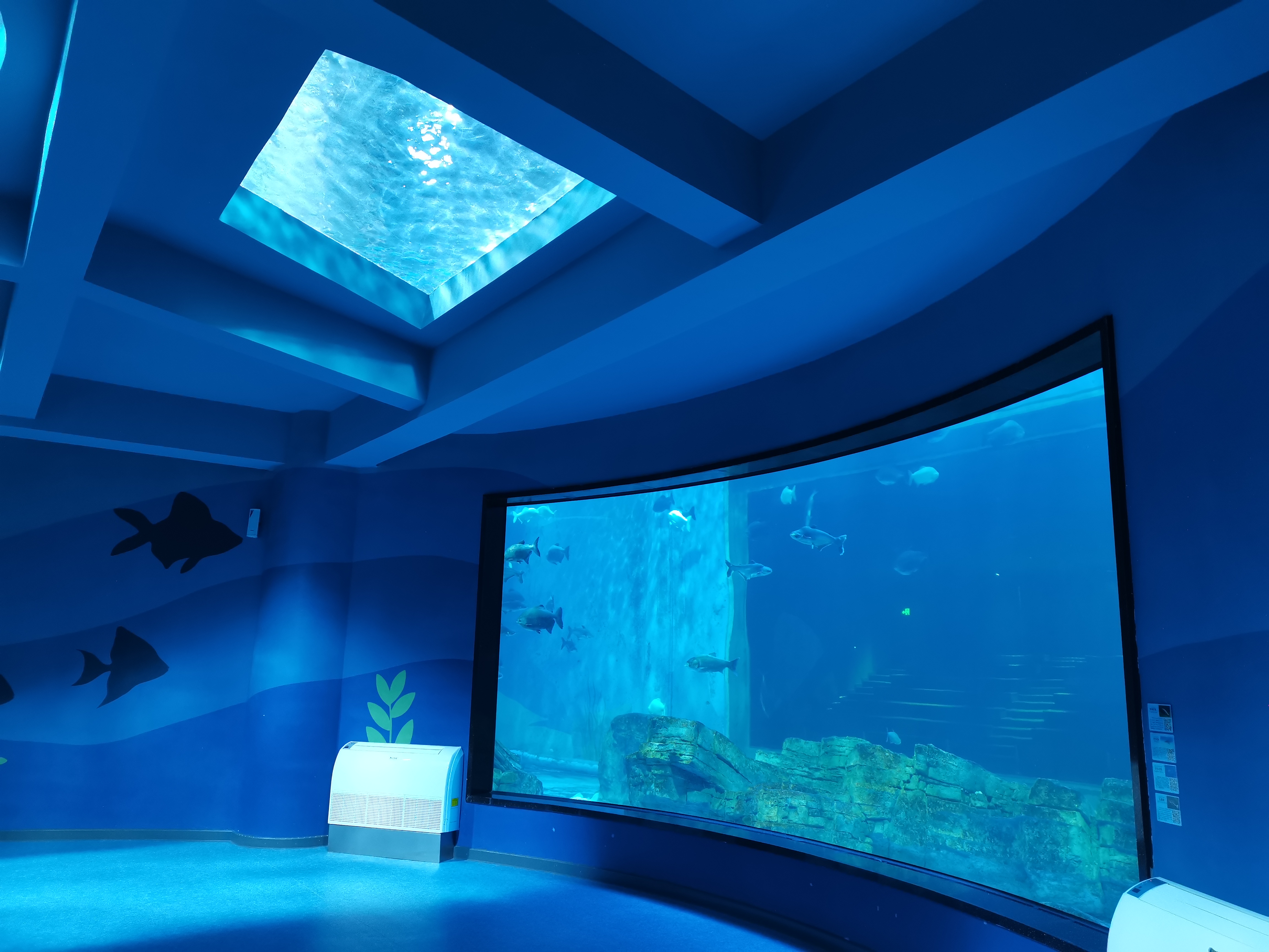 Ventana acr&iacute;lica para acuario - fabricaci&oacute;n
