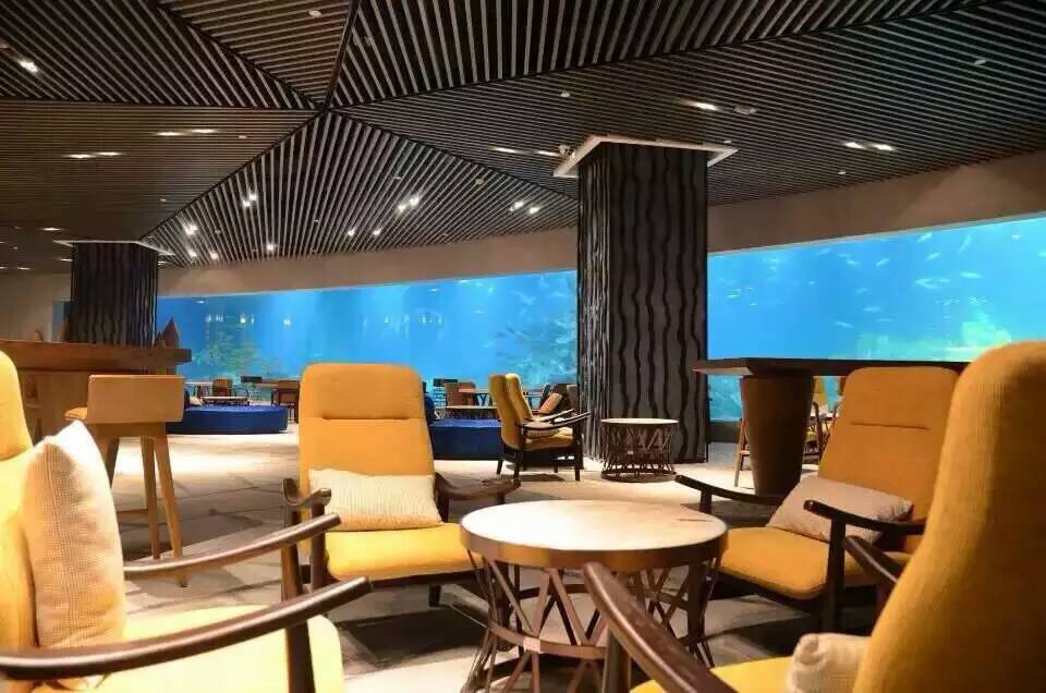 Acuario de ventana acr&iacute;lica - instalaci&oacute;n