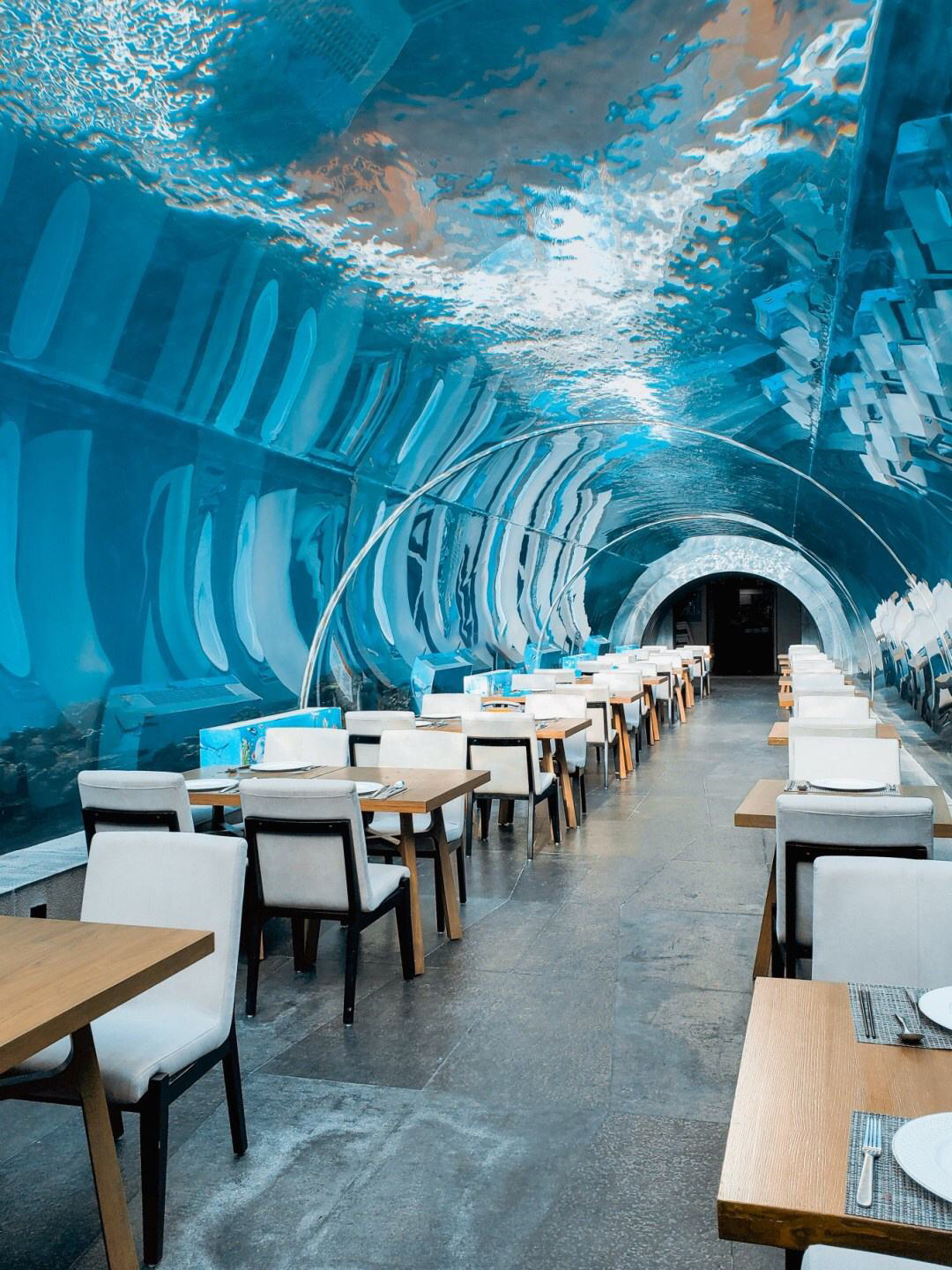 Acuario t&uacute;nel acr&iacute;lico - fabricante