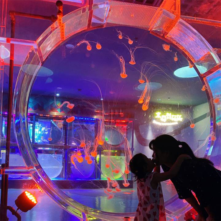Tanque de medusas acr&iacute;lico personalizado