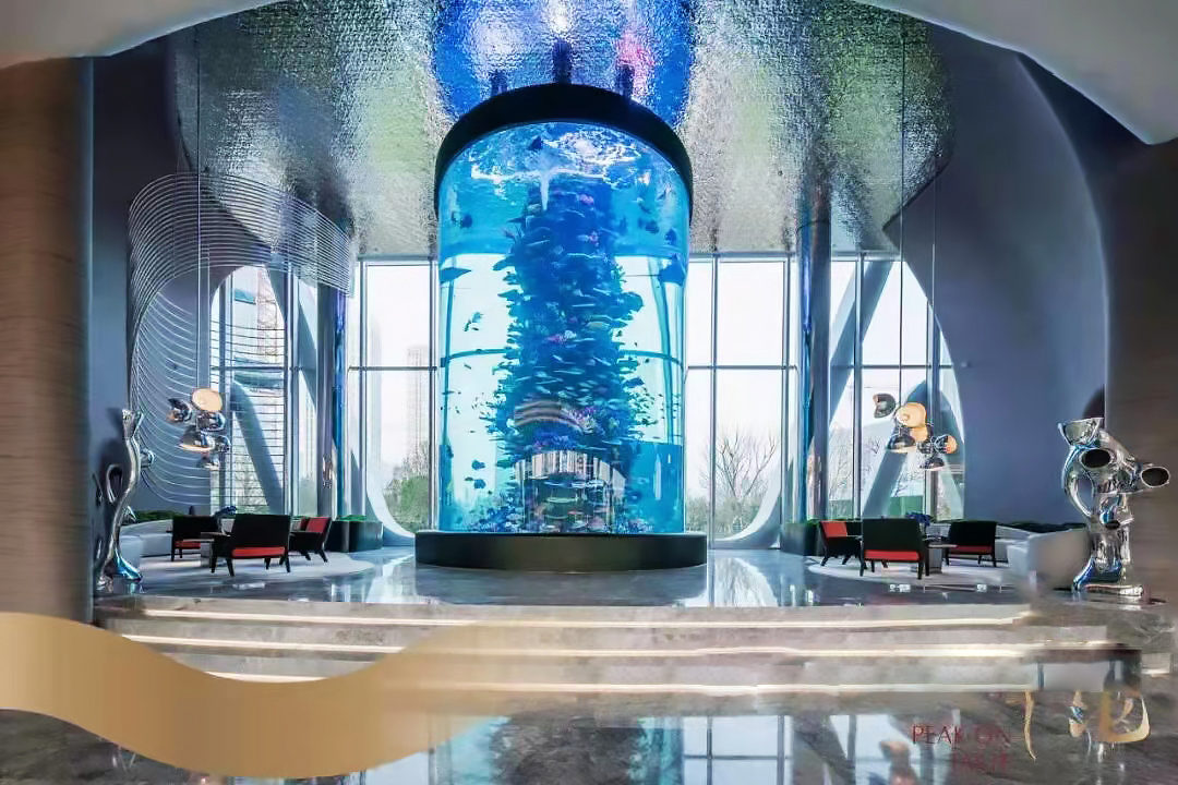 Acuario cil&iacute;ndrico acr&iacute;lico - INSTALACI&Oacute;N LEYU