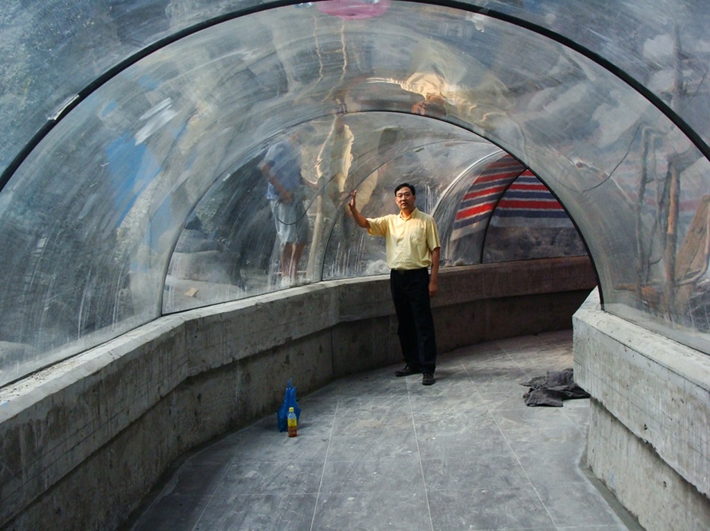 Hefei Hanhai Polar Ocean World - T&uacute;nel del acuario Leyu