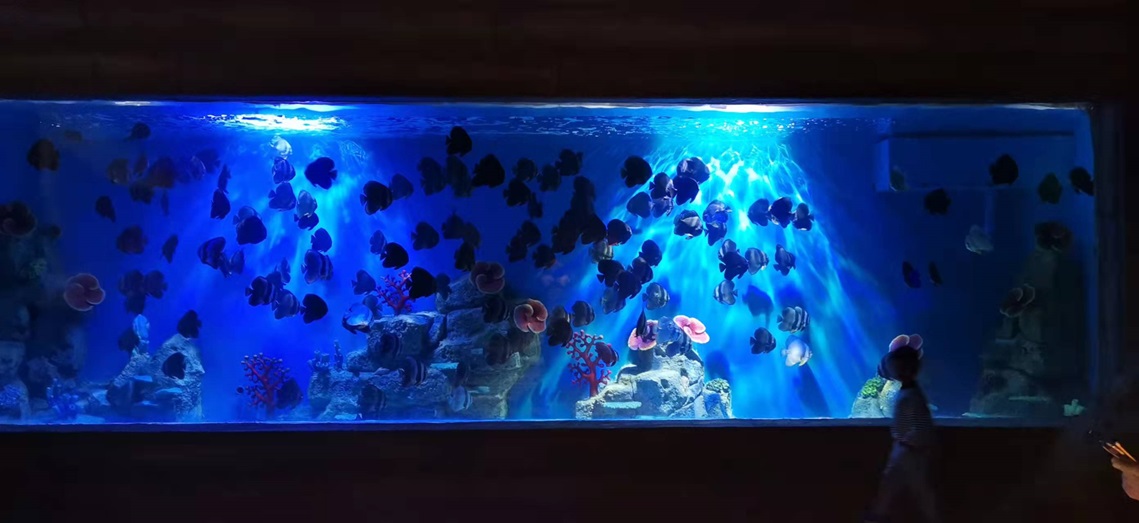 Fabricante de ventanas de acr&iacute;lico transparente