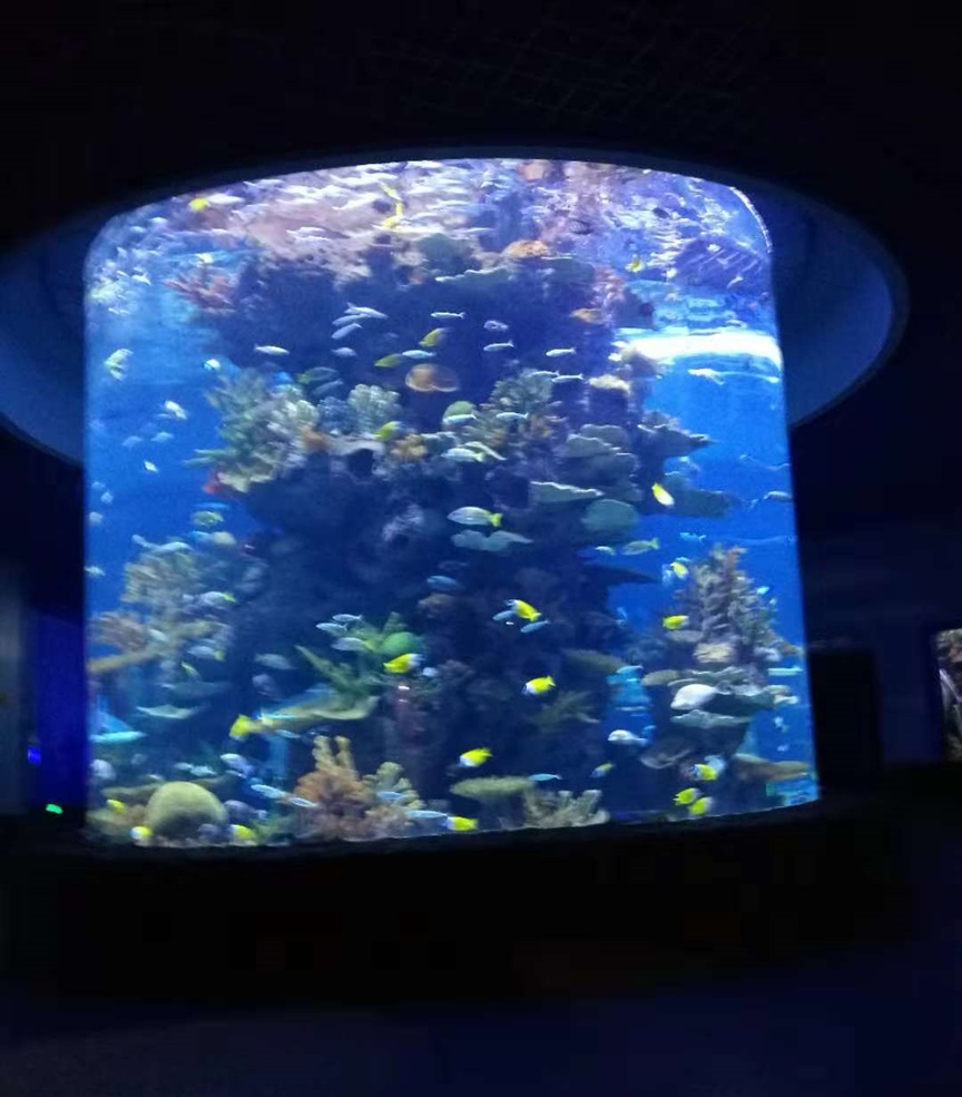 Leyu Cylindrical Fish Tank - Longchuan Polar Ocean World in Guizhou Province (5) Pecera cilíndrica Leyu - Longchuan Polar Ocean World en la provincia de Guizhou (5)