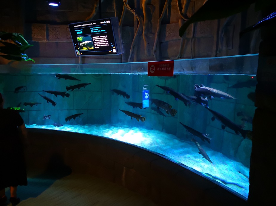 Mundo oce&aacute;nico polar de Chongqing Hanhai - Leyu Arylic Aquarim (4)