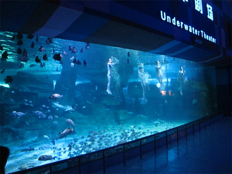Luxury Design Custom Acrylic View Window For Aquarium Ventana de visualización acrílica personalizada de diseño de lujo para acuario